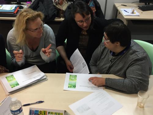 formation FALC